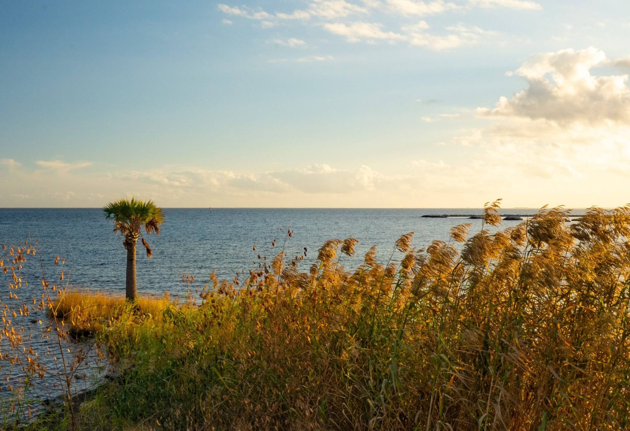 About GroomBox, Pensacola, Florida.