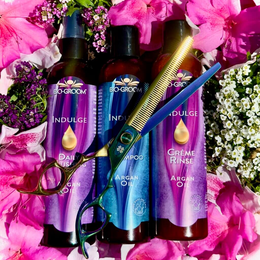 Bio-Groom Indulge dog grooming shampoo GroomBox a subscription box for dog groomers.