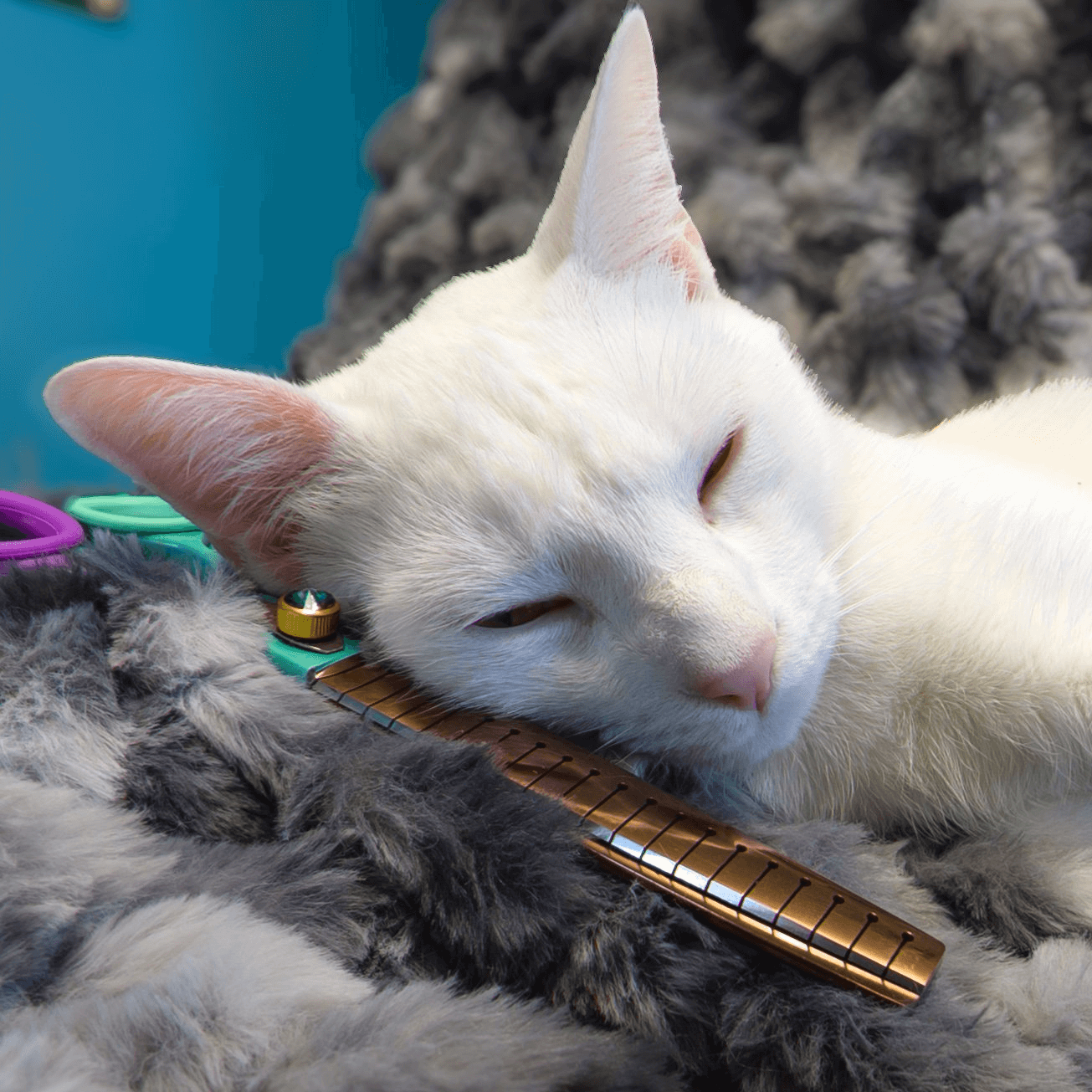 About GroomBox, Tater, Logistics supervisor.