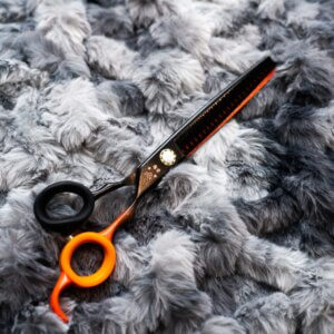 dog grooming shear harvest GroomBox