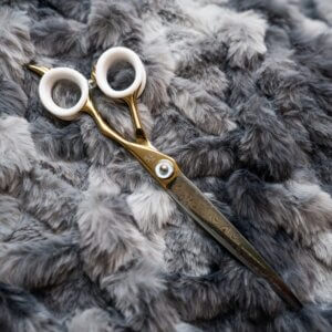 dog grooming shear Fly High Straight GroomBox
