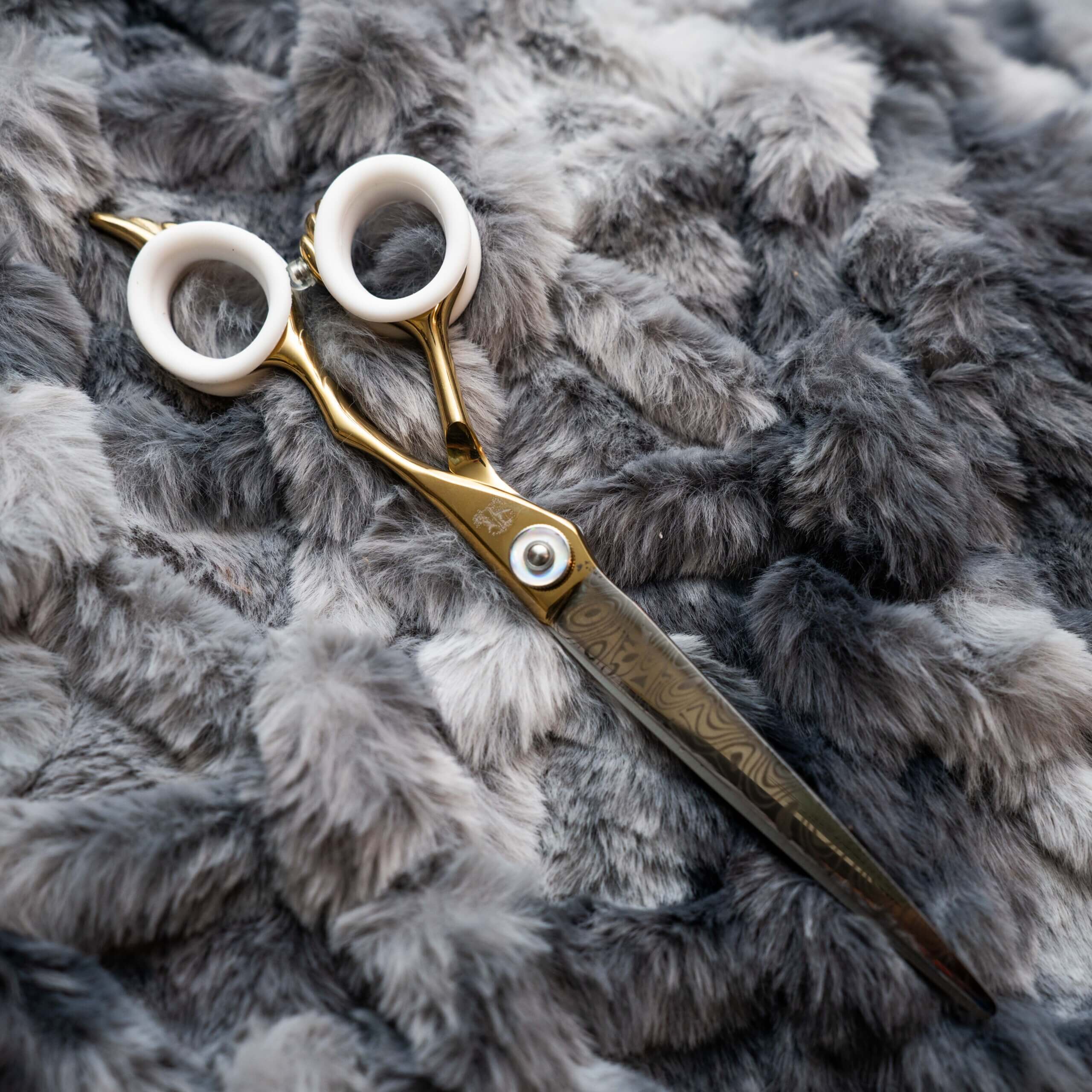 dog grooming shear Fly High Straight GroomBox