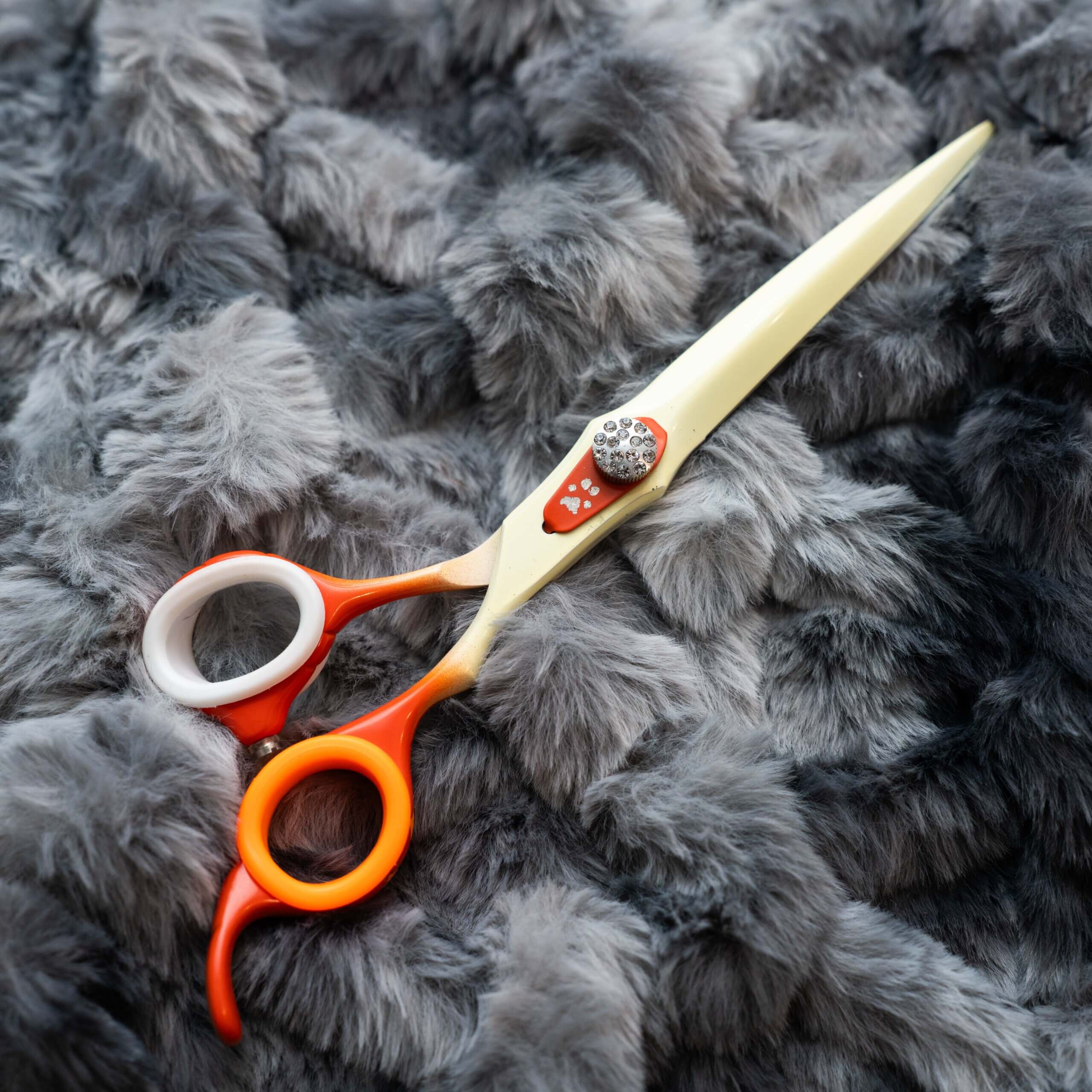 dog grooming shear Orange Cream GroomBox