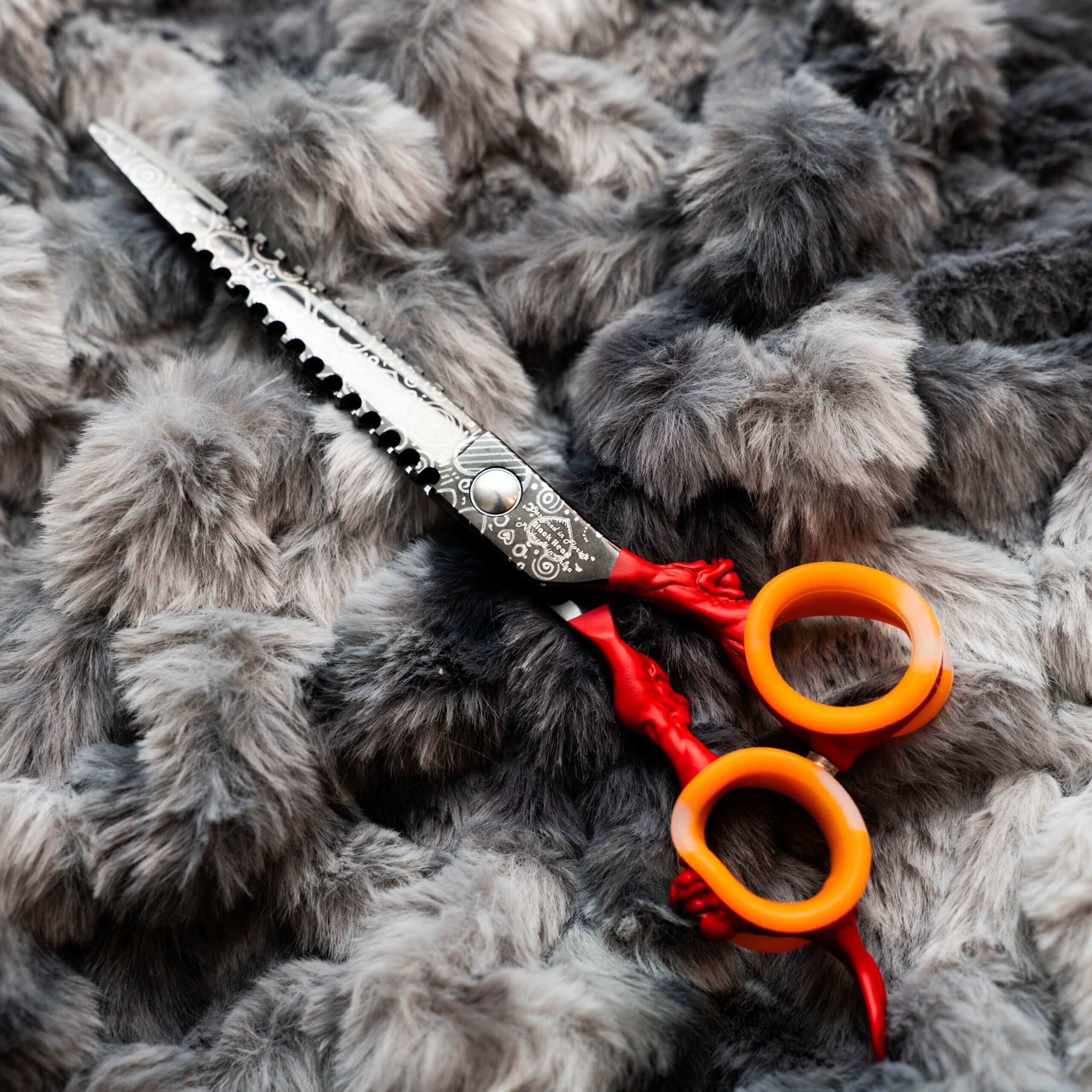 dog grooming shear Blackheart Straight GroomBox