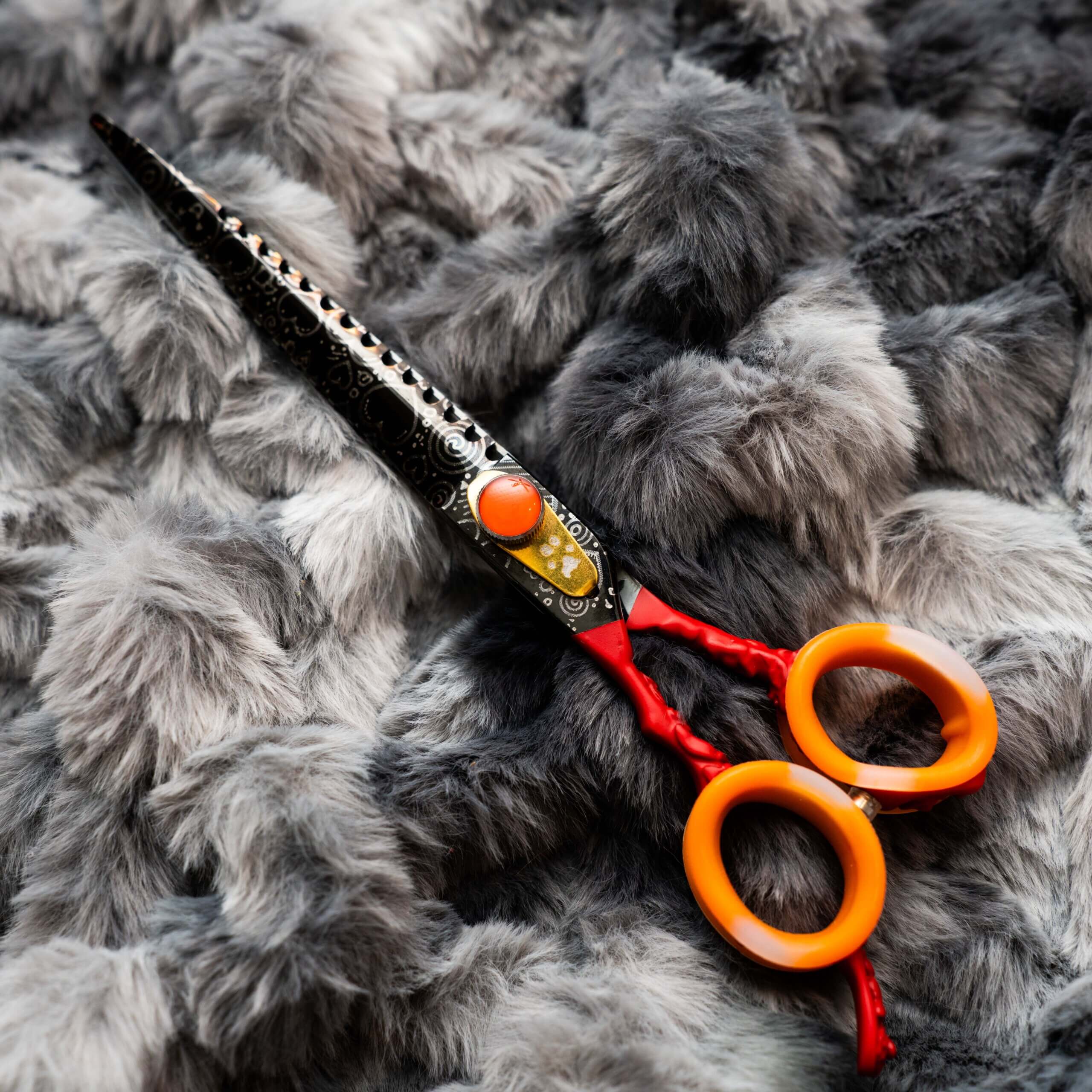 dog grooming shear Blackheart Straight GroomBox