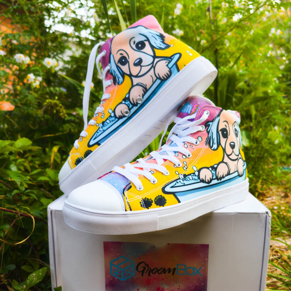 dog grooming supplies through GroomBox, a subscription box for dog groomers who practice dog grooming