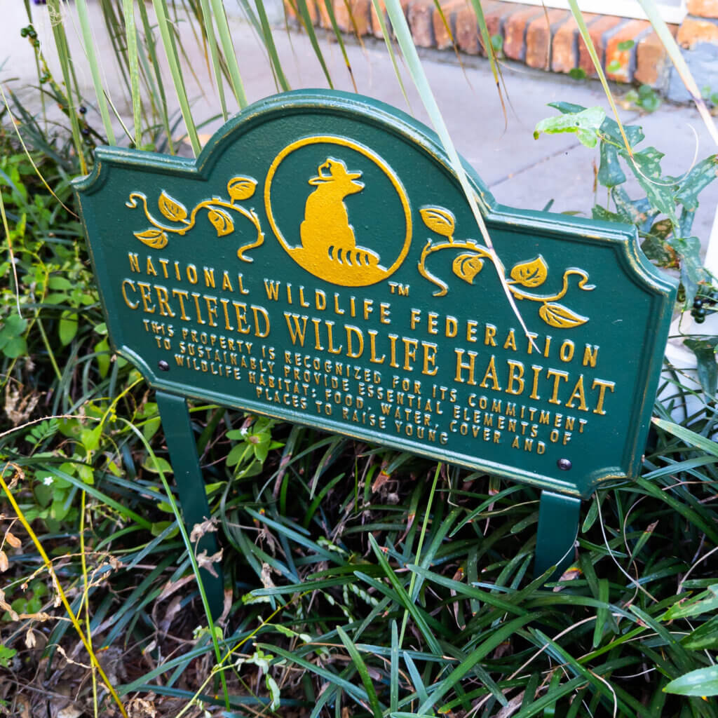 dog grooming supplies through GroomBox, a subscription box for dog groomers who practice dog grooming