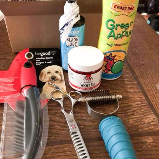 dog grooming supplies through GroomBox, a subscription box for dog groomers who practice dog grooming supplies at a trade show GroomBox, a subscription box for dog groomers who practice dog grooming.