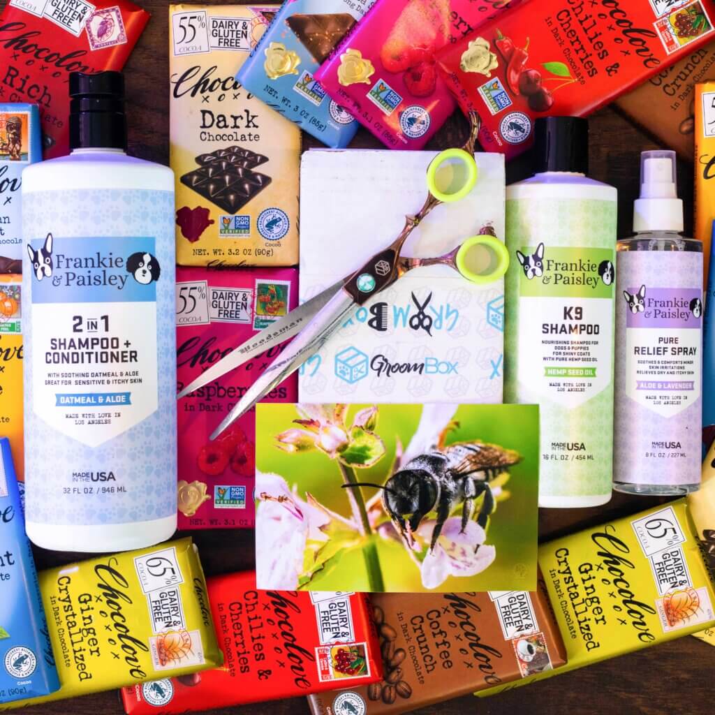 Frankie & Paisley dog grooming shampoo GroomBox Premium a subscription box for dog groomers.