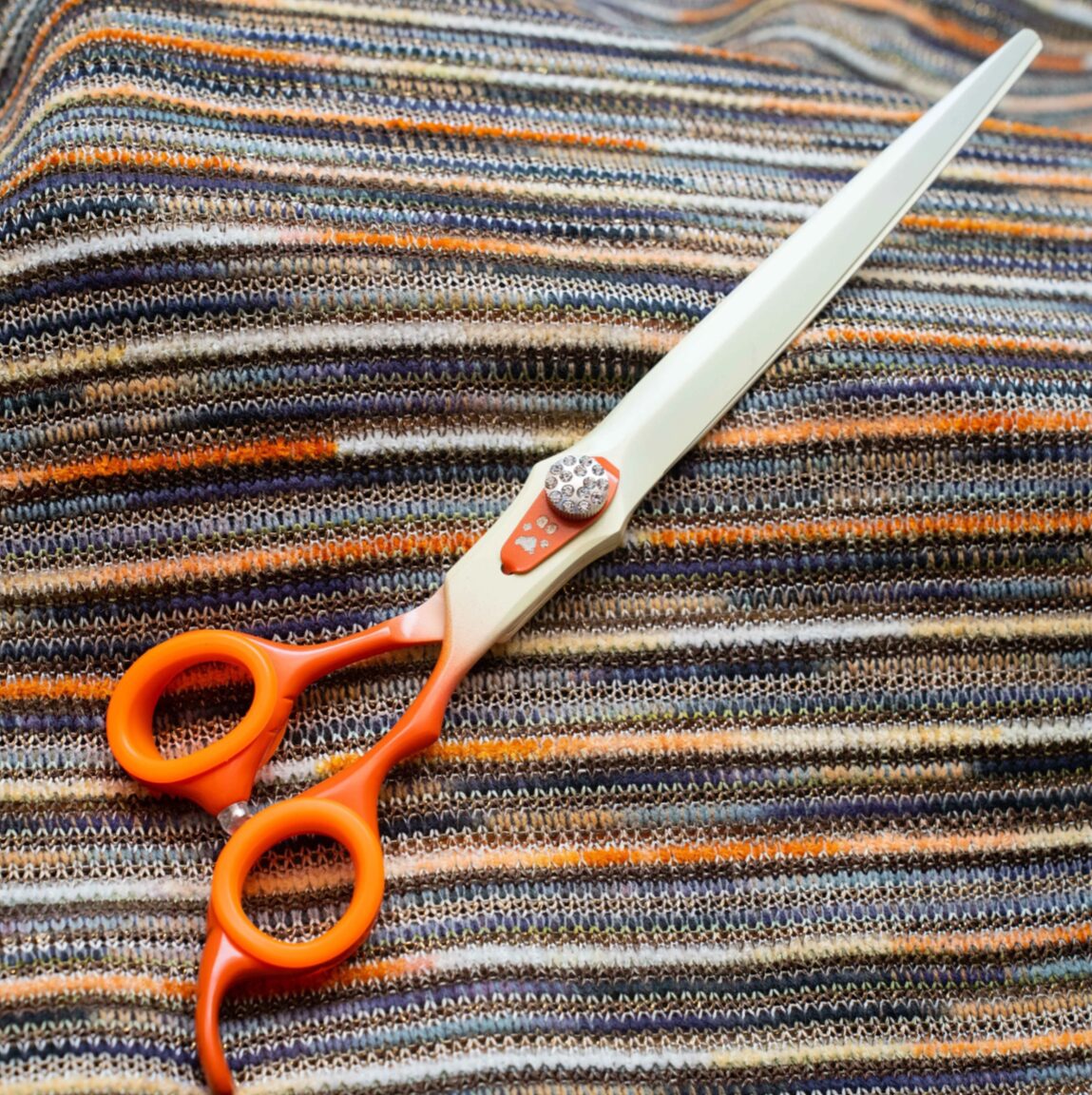 Orange Cream Straight dog grooming straight shears with micro-serrated edges and ball bearing system by GroomBox.